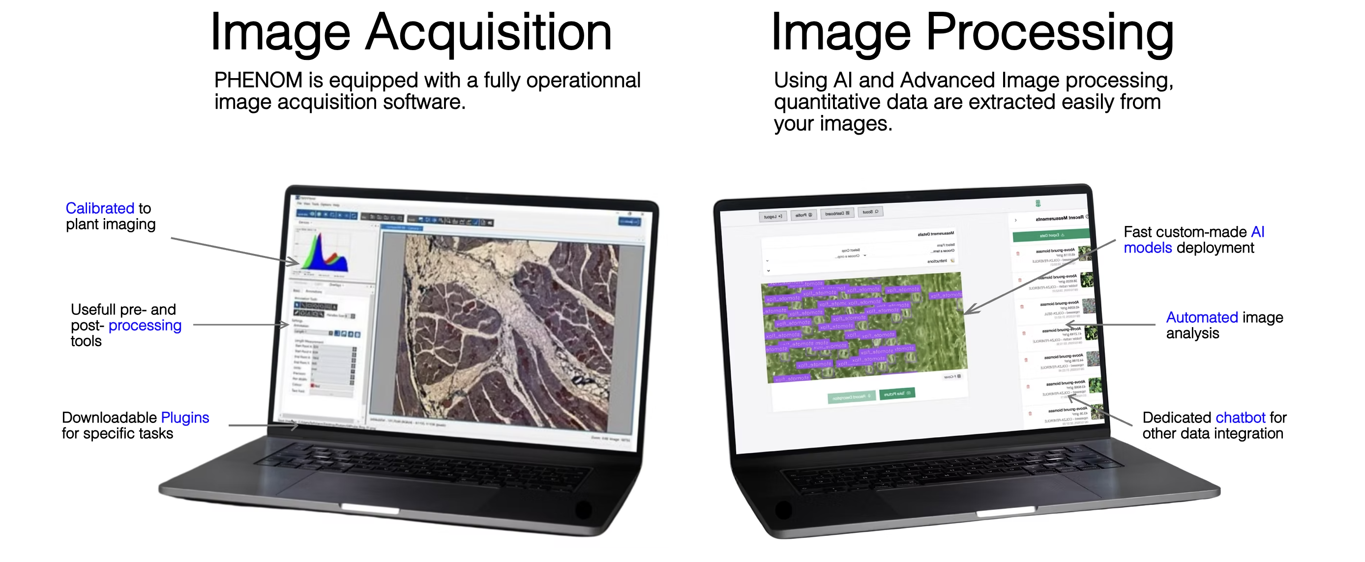 Image Acquisition and Image Processing — PHENOM software