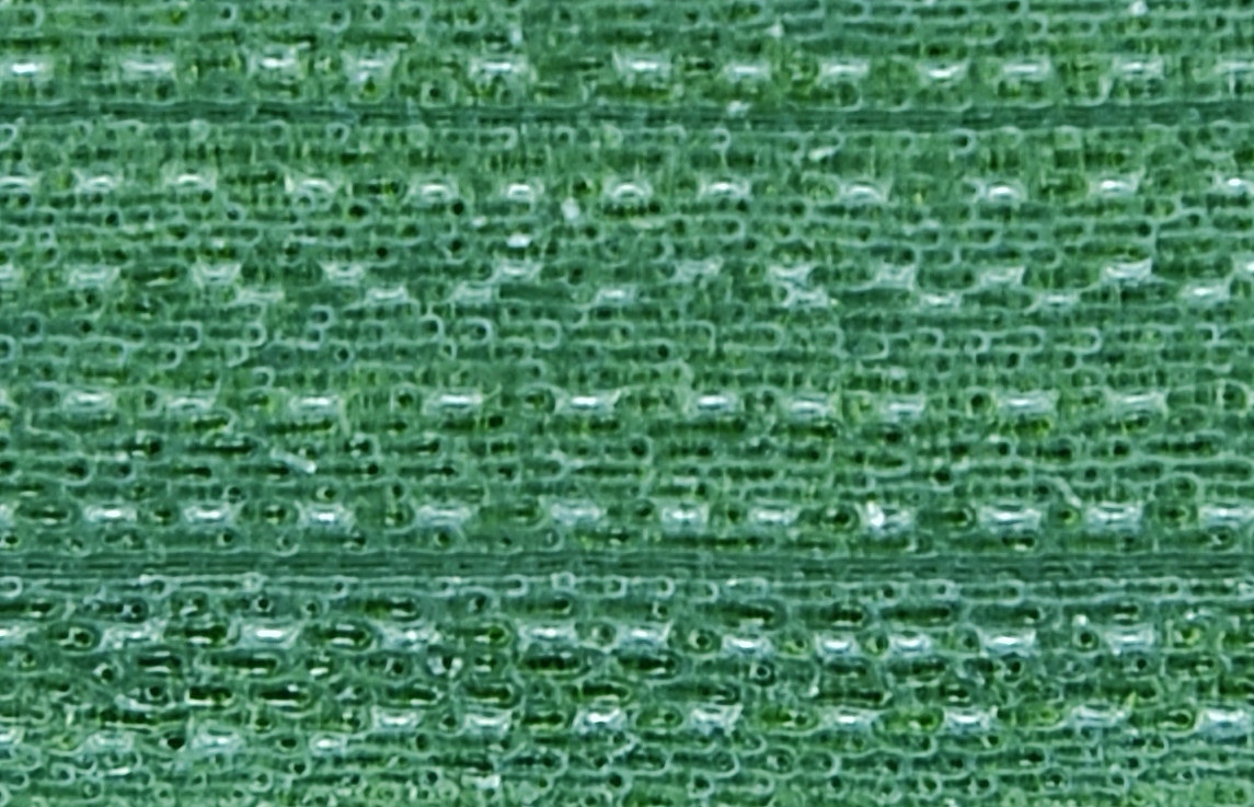 Rice stomata imaged with STOMmini